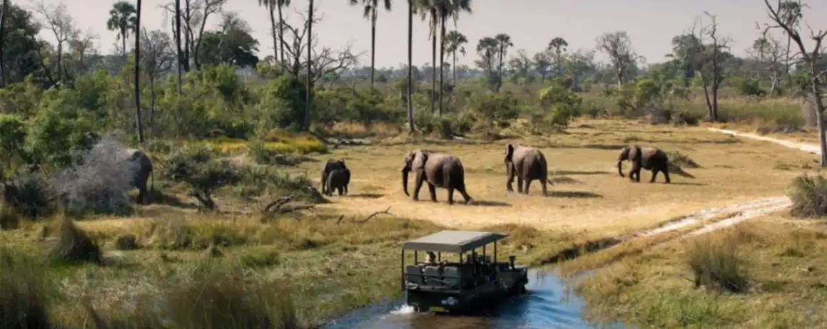 Cybele Forest Lodge and Health Spa-1